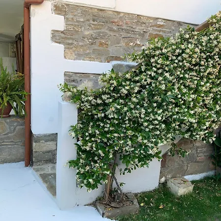 Beautiful Petrino 1880 Appartement